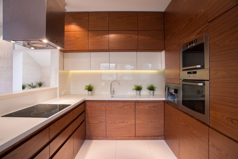 Kitchen Cabinet Staining in Carmel, IN